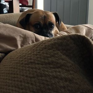 Meet your Posher, Michelle